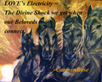 Horses        Love's Electricity